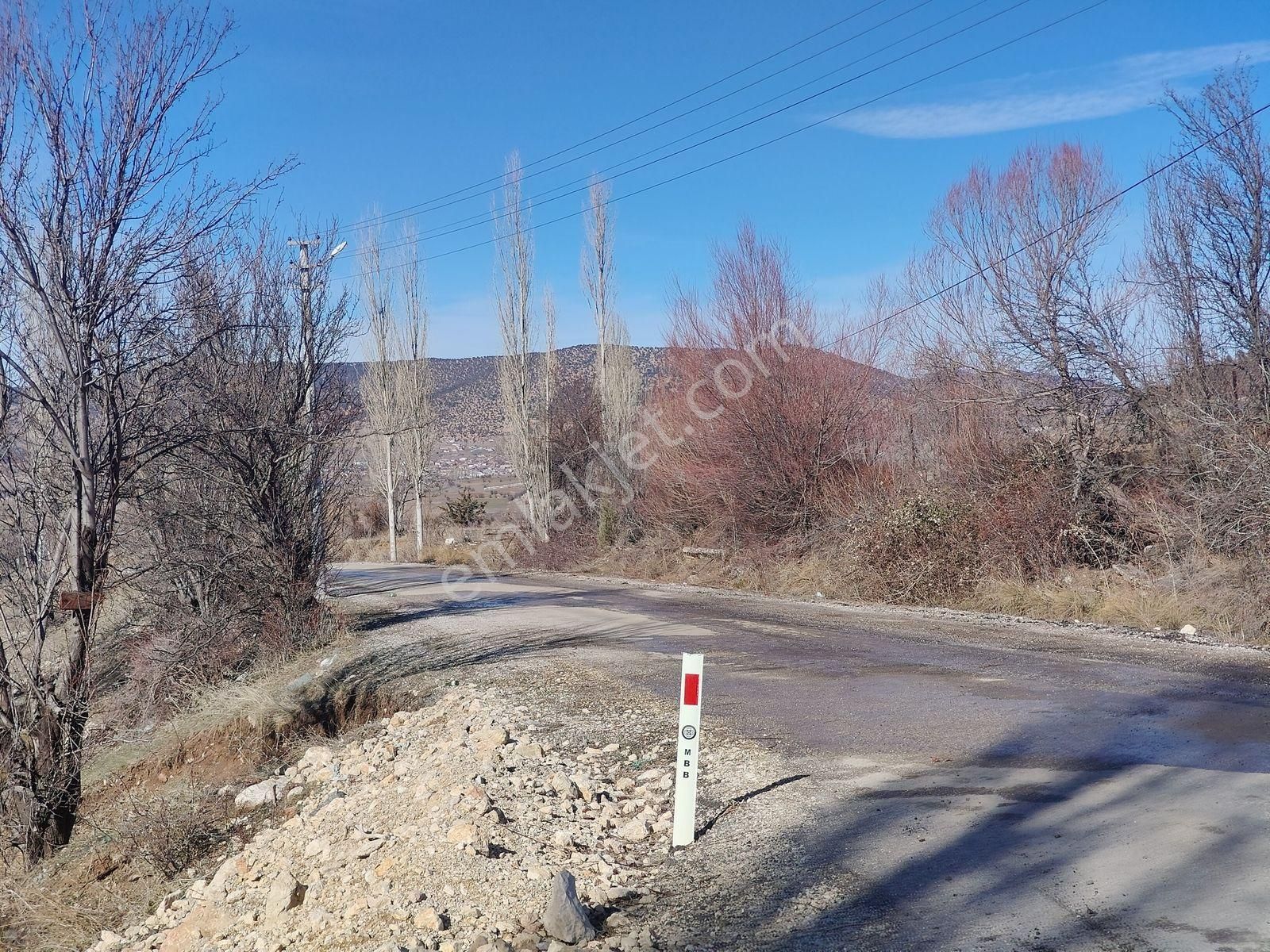 Seydikemer Yayla Doğanlar Mah. Asfalta Cephe Satılık Arazi - Görsel 3