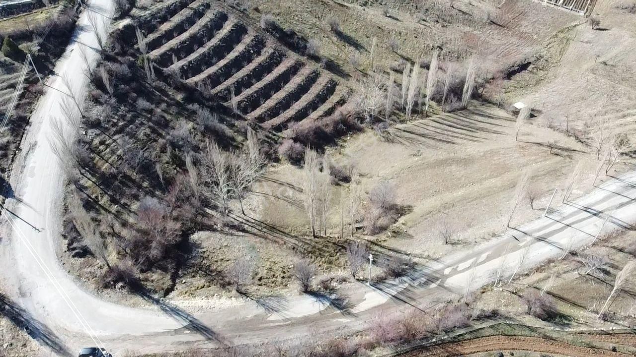 Seydikemer Yayla Doğanlar Mah. Asfalta Cephe Satılık Arazi - Görsel 15