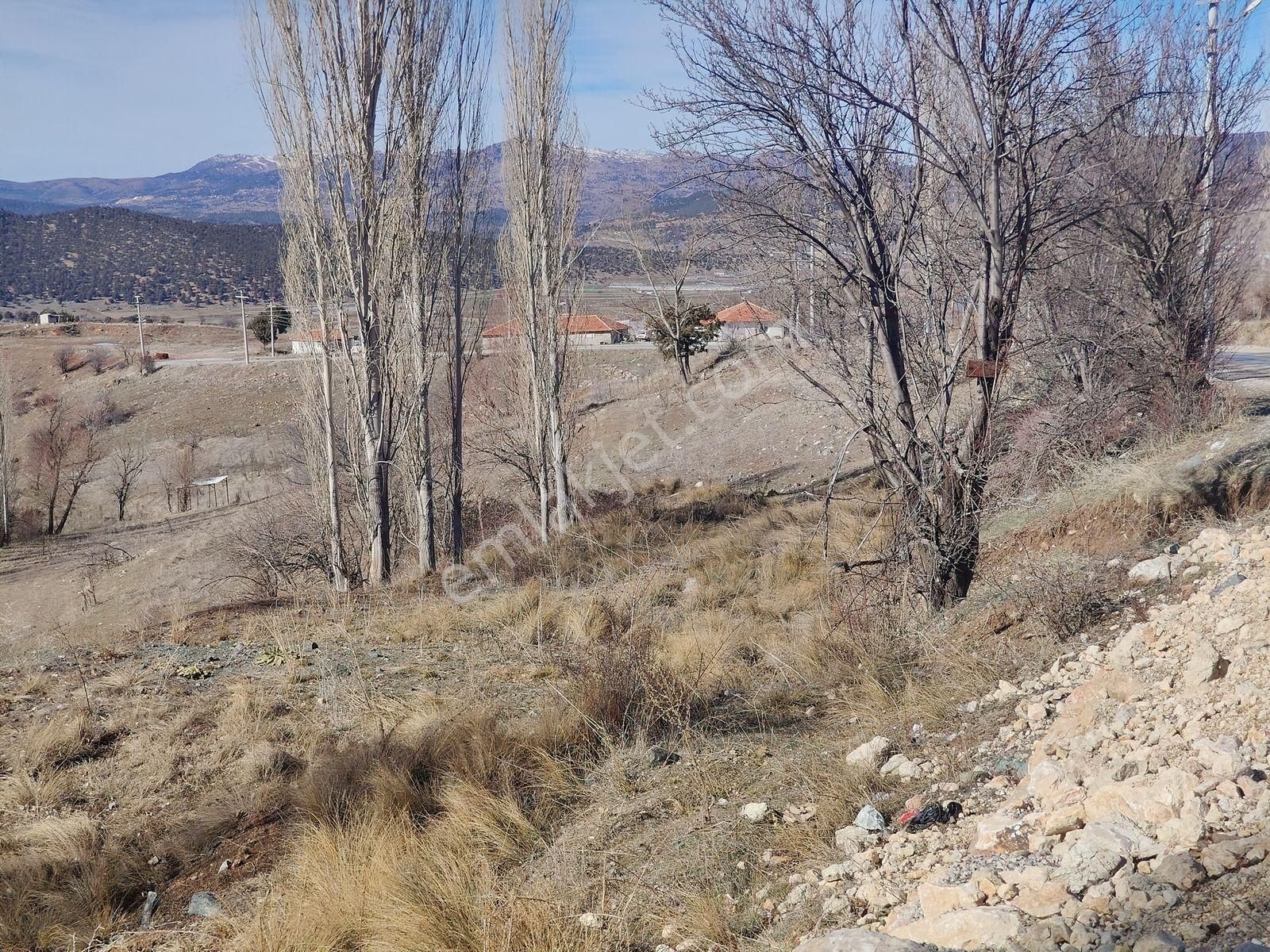 Seydikemer Yayla Doğanlar Mah. Asfalta Cephe Satılık Arazi - Görsel 30