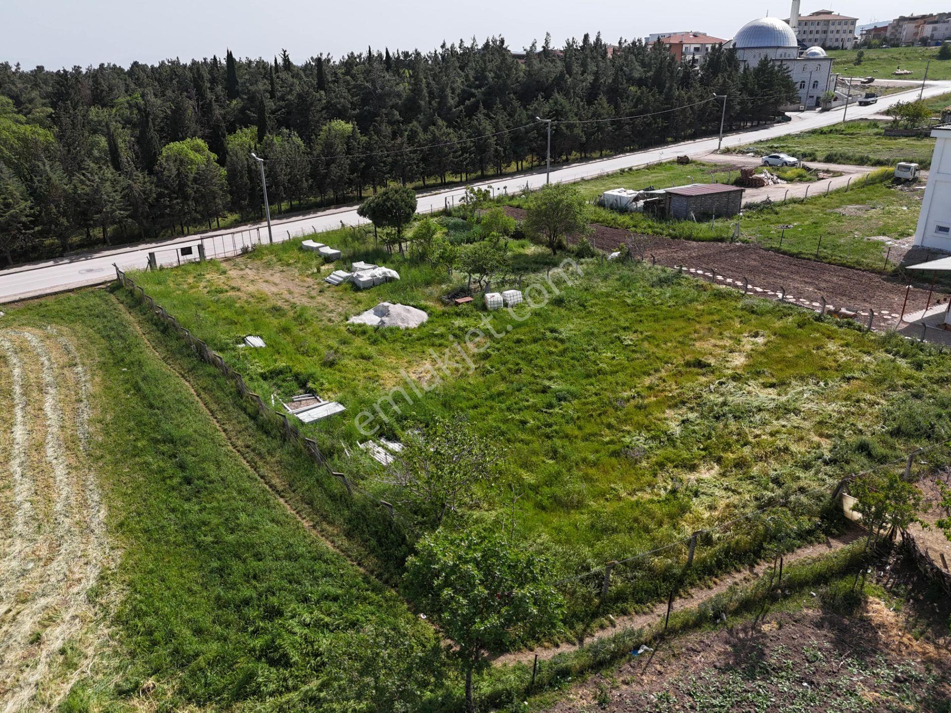 Balıkesir Karesi Toygar Mh. Toplam 1342 M2 Satılık Arsa - Görsel 26