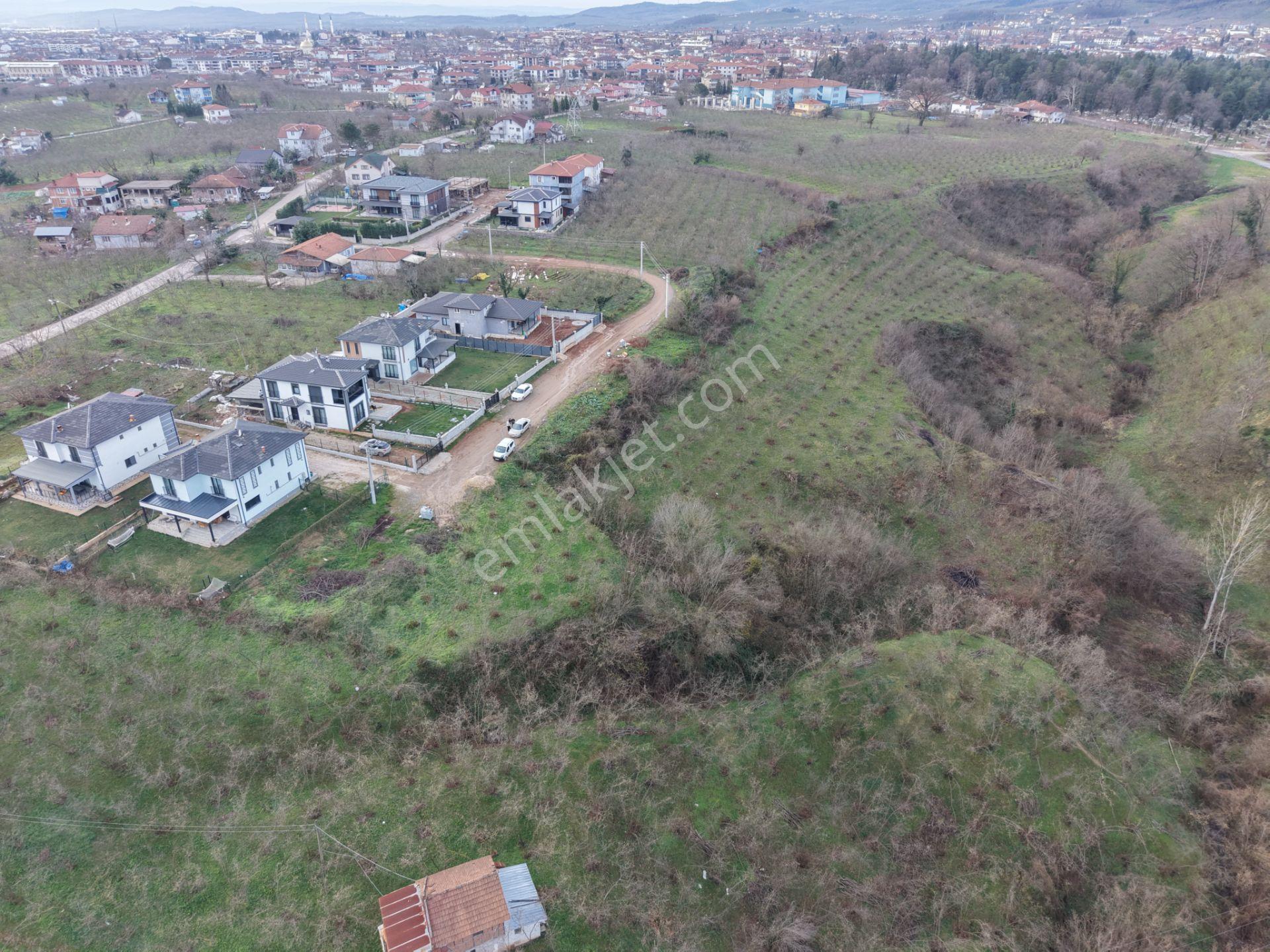 Emlak Evimden Hendek Mahmutbey (sarıdede) Mevkiinde Fırsat Arsa - Görsel 7
