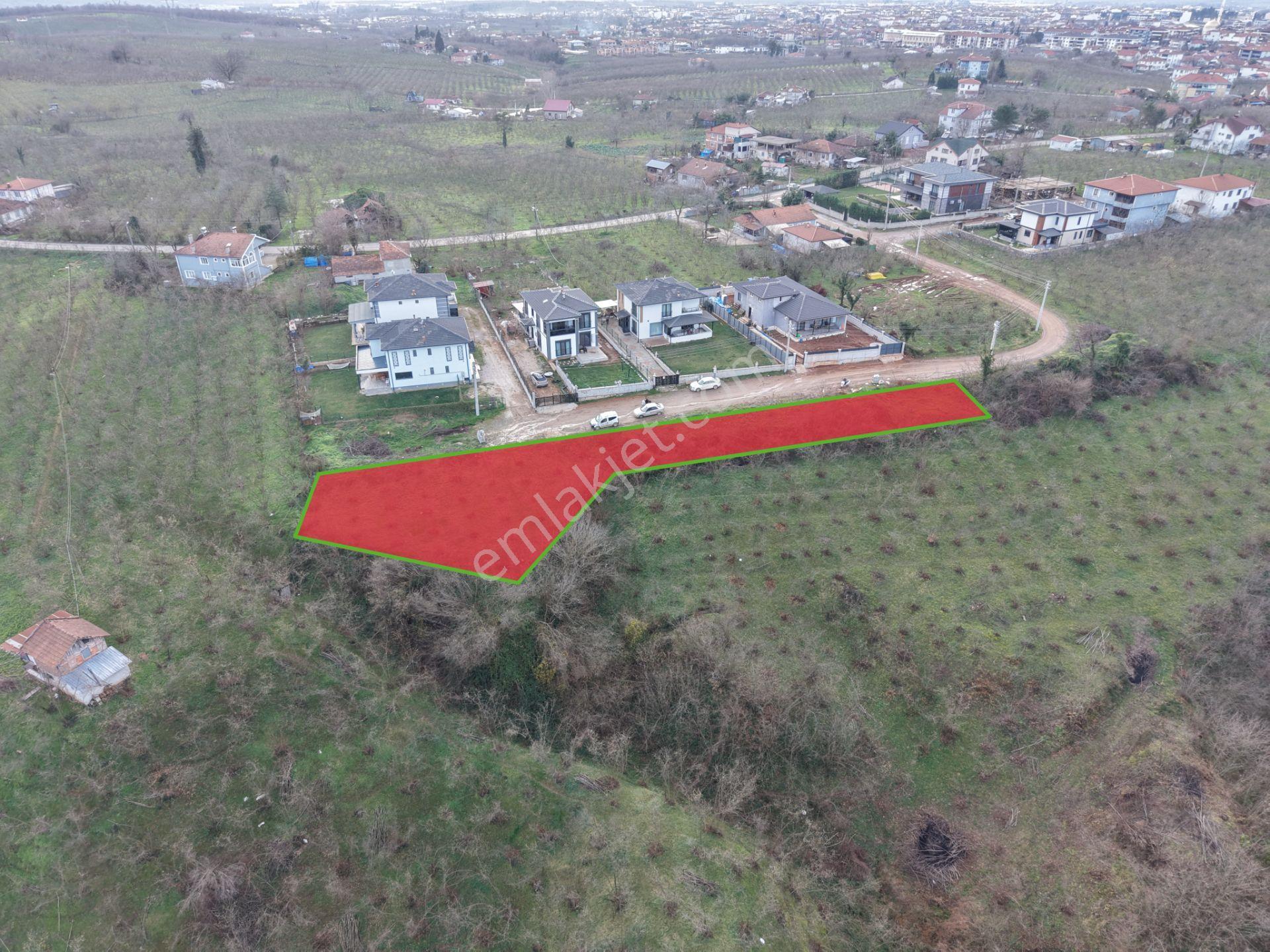 Emlak Evimden Hendek Mahmutbey (sarıdede) Mevkiinde Fırsat Arsa - Görsel 4