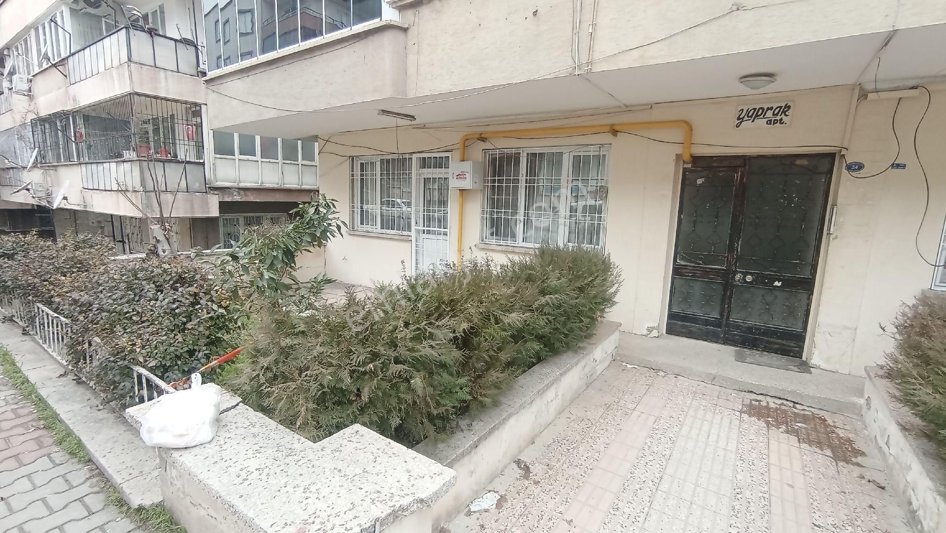 Alleben Mahlesinde Temiz Hasarsız 2+1 - Görsel 31