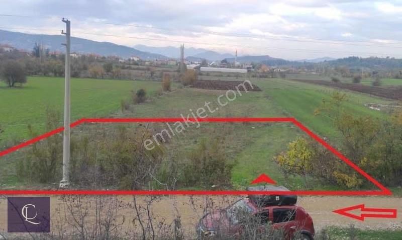 Clara Gayrimenkul'den Bucak'da Satılık Tarla Köyiçi İmarlı