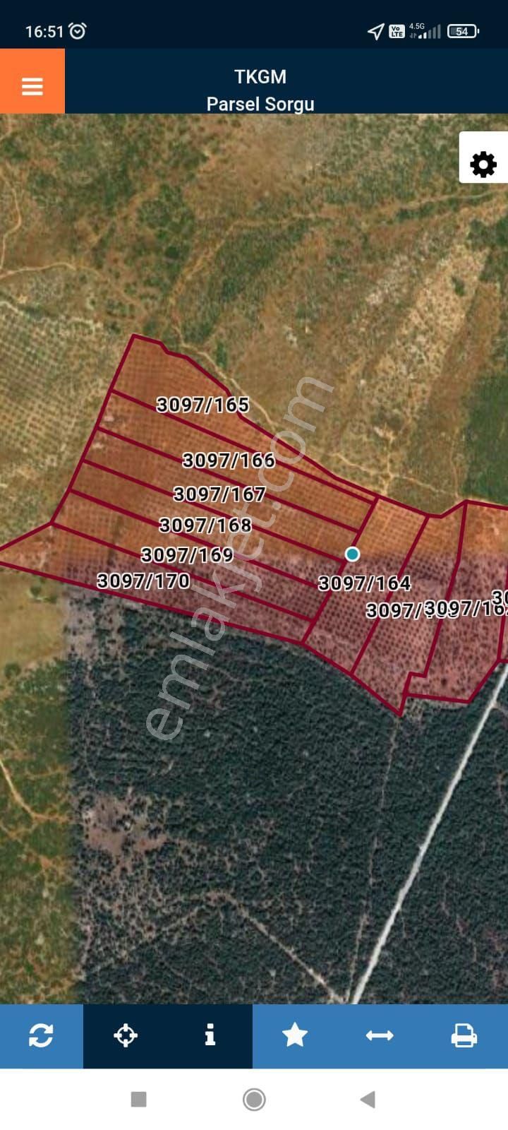 Didim Akbük’te İmara Komşu, 40 Dönüm Zeytinlik - Görsel 32