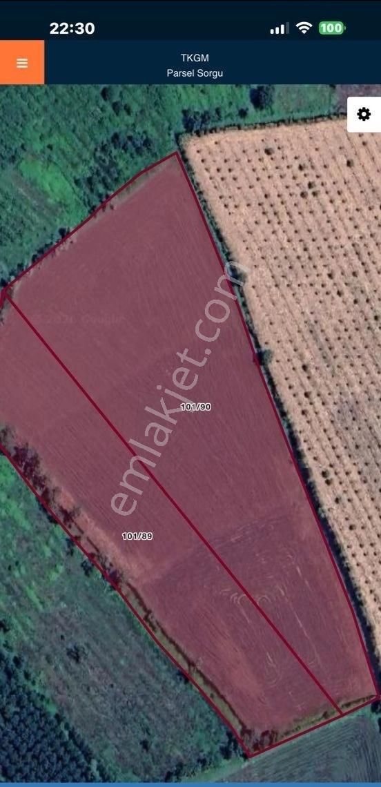 🚨 Tuğba Emlaktan Terme Çangallar Mevkiinde 32 Dönüm Müstakil Tapu Acil Satılık Tarla 🚨