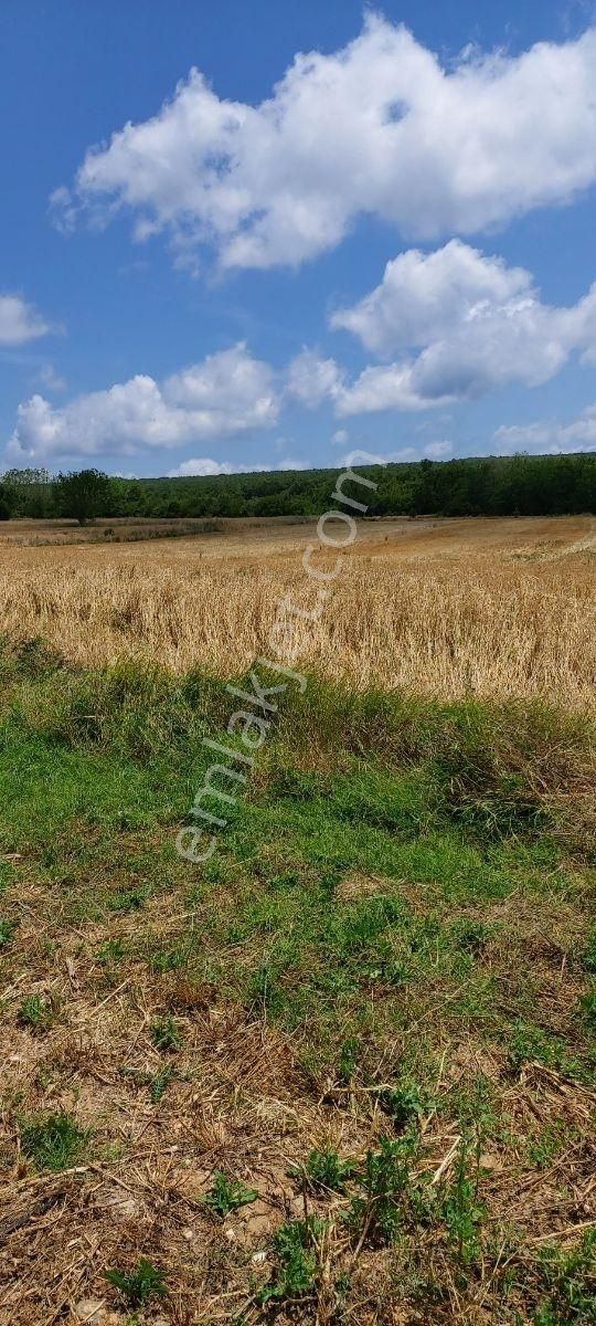 Silivri Kadıköy Kelepir Emsalsiz Yer Kacırmayın Derimm - Görsel 2