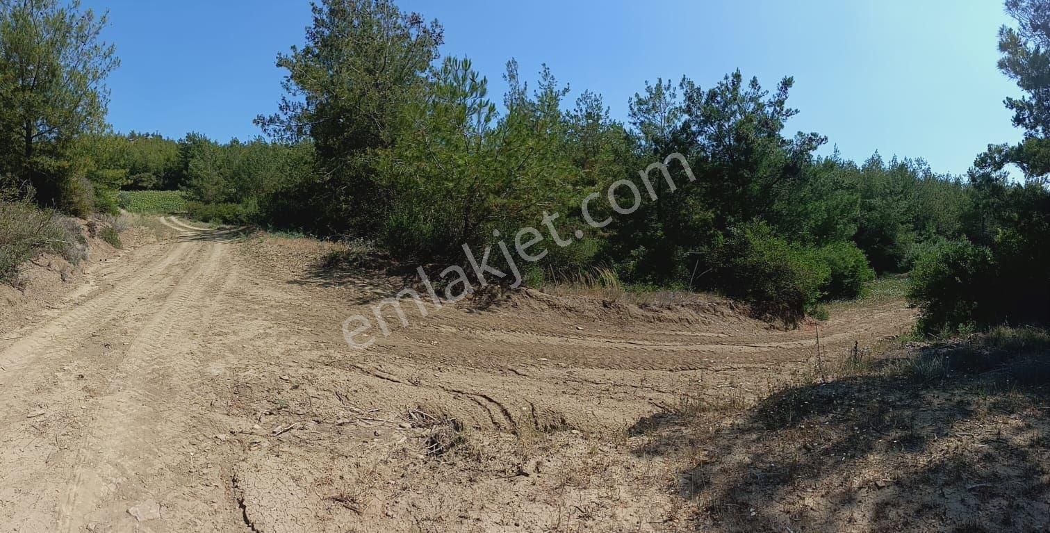 3ev Emlak'tan Karaisalı Gökhasanlıda Satılık Tek Tapu Arazi - Görsel 3