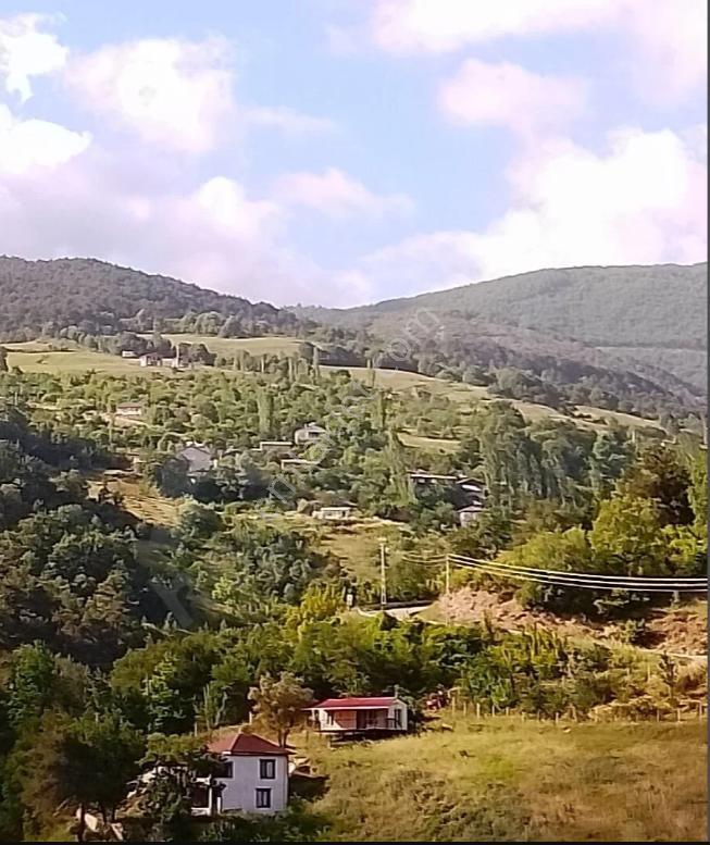 Alırken Kazanmanın Adresi "fırsat Müzayede" - Görsel 7