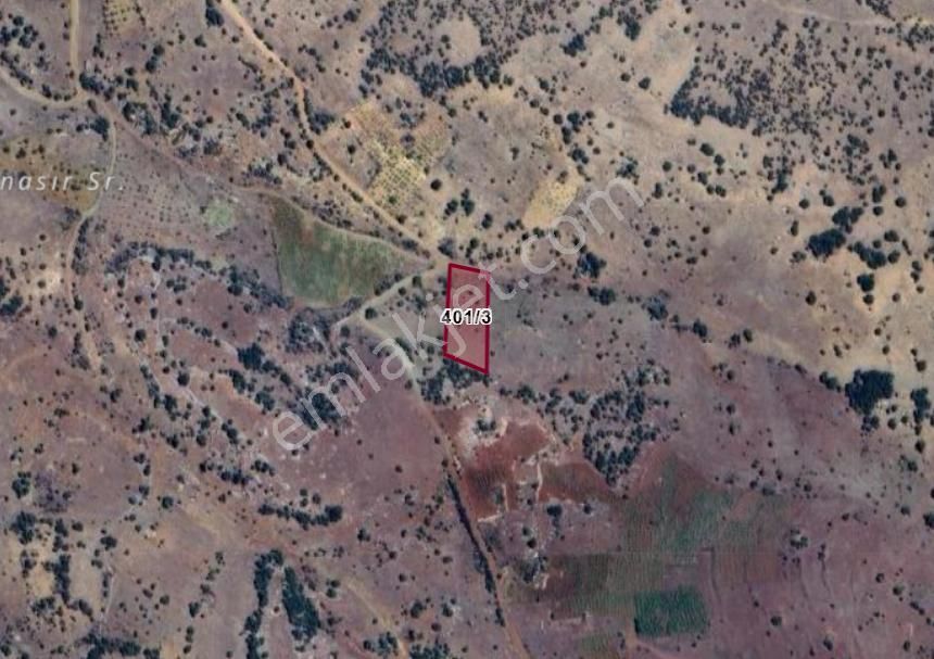 Konya Bozkır Hamzalar Köyünde 1.923 M² Bağ Satılıktır