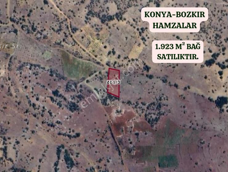 Konya Bozkır Hamzalar Köyünde 1.923 M² Bağ Satılıktır - Görsel 2