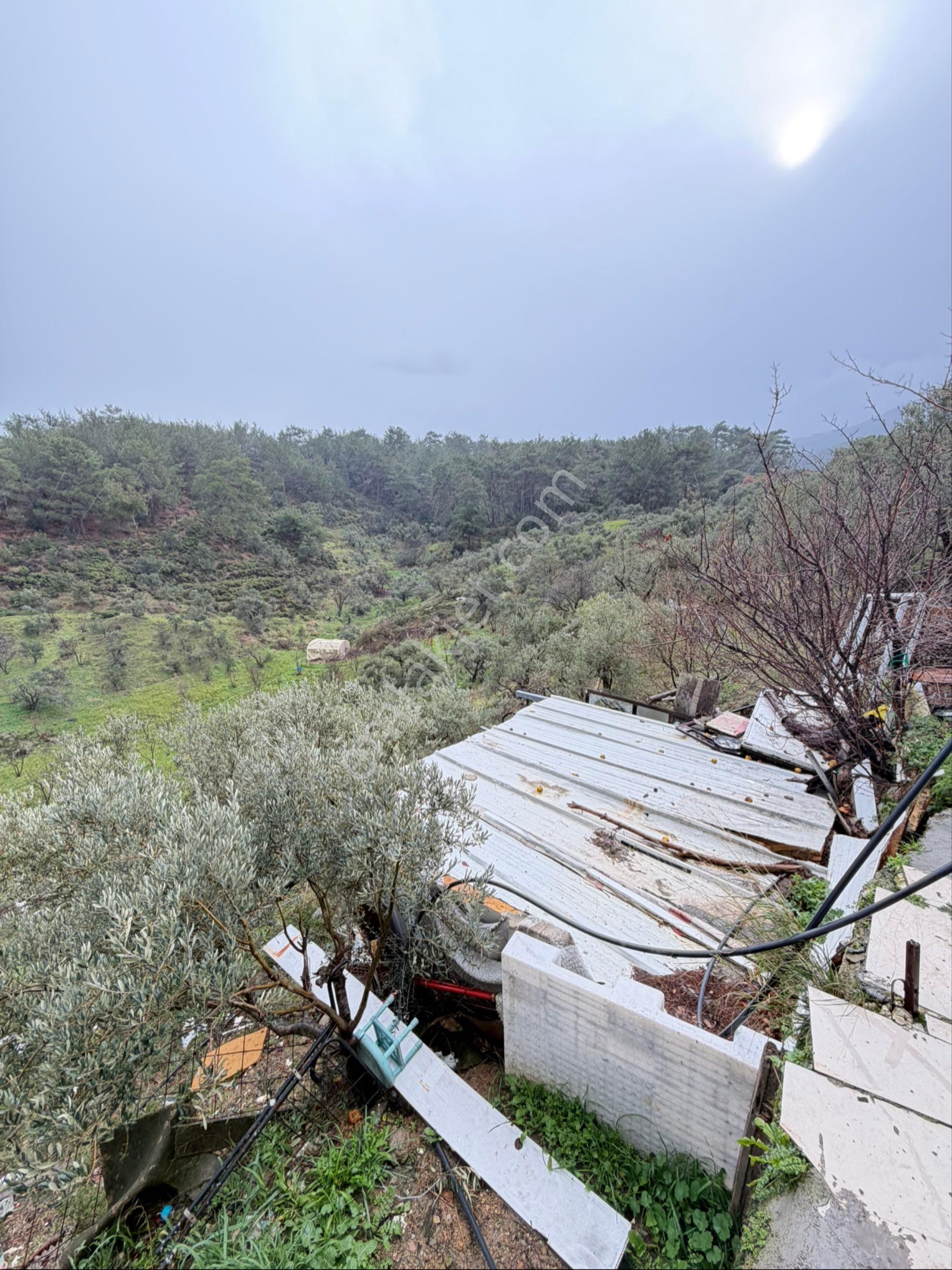 İzmir Kemalpaşa Ören 75. Yıl Cumhuriyet Mahde 6885 M2 Tam Tapu Bağ Bahçe - Görsel 26