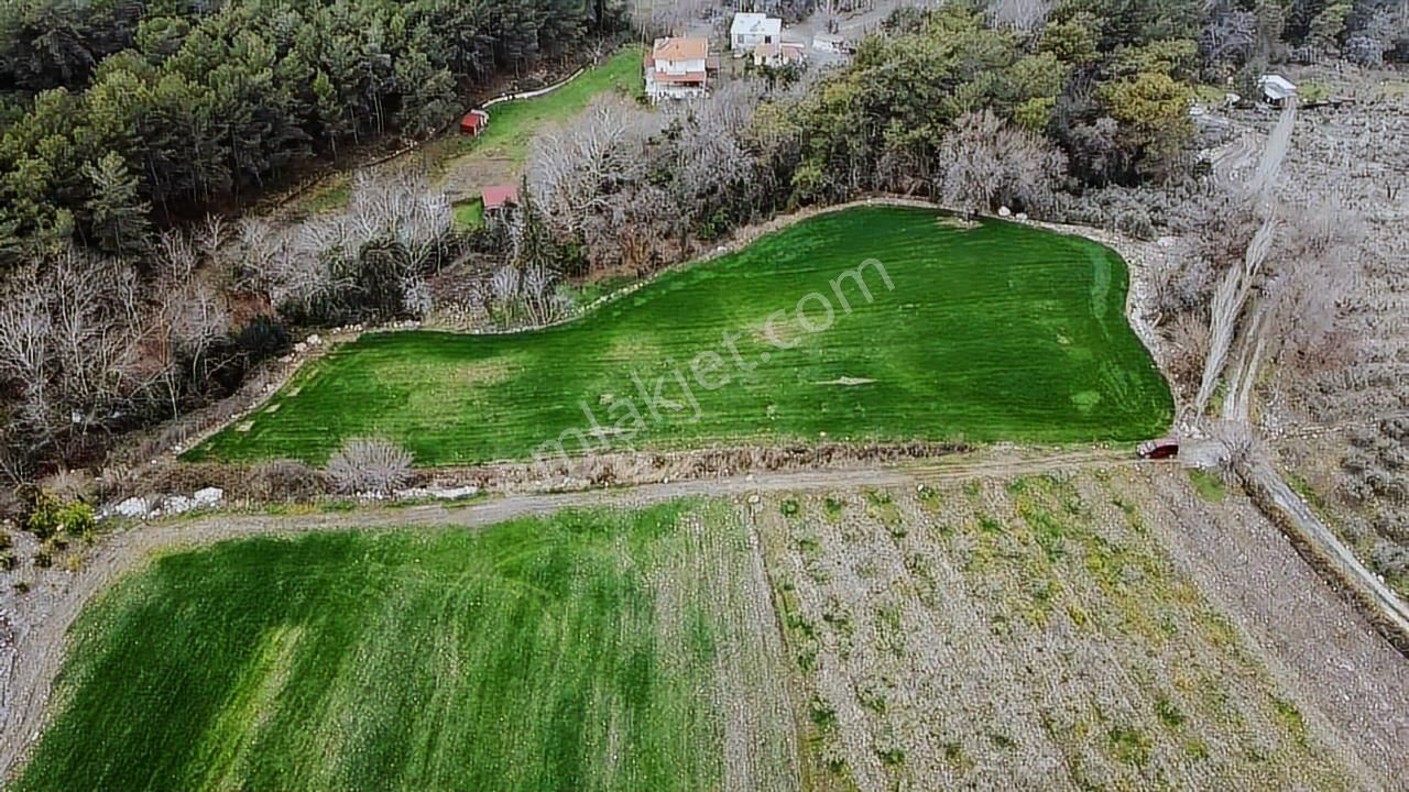 Seydikemer Yaka Mah. 7242m² Arazi Tlos Antike Manzaralı - Görsel 30