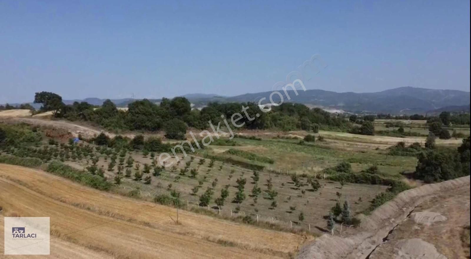 Döllük Mahallesinde Satılık Ceviz Bahçesi 10397 M2 - Görsel 2