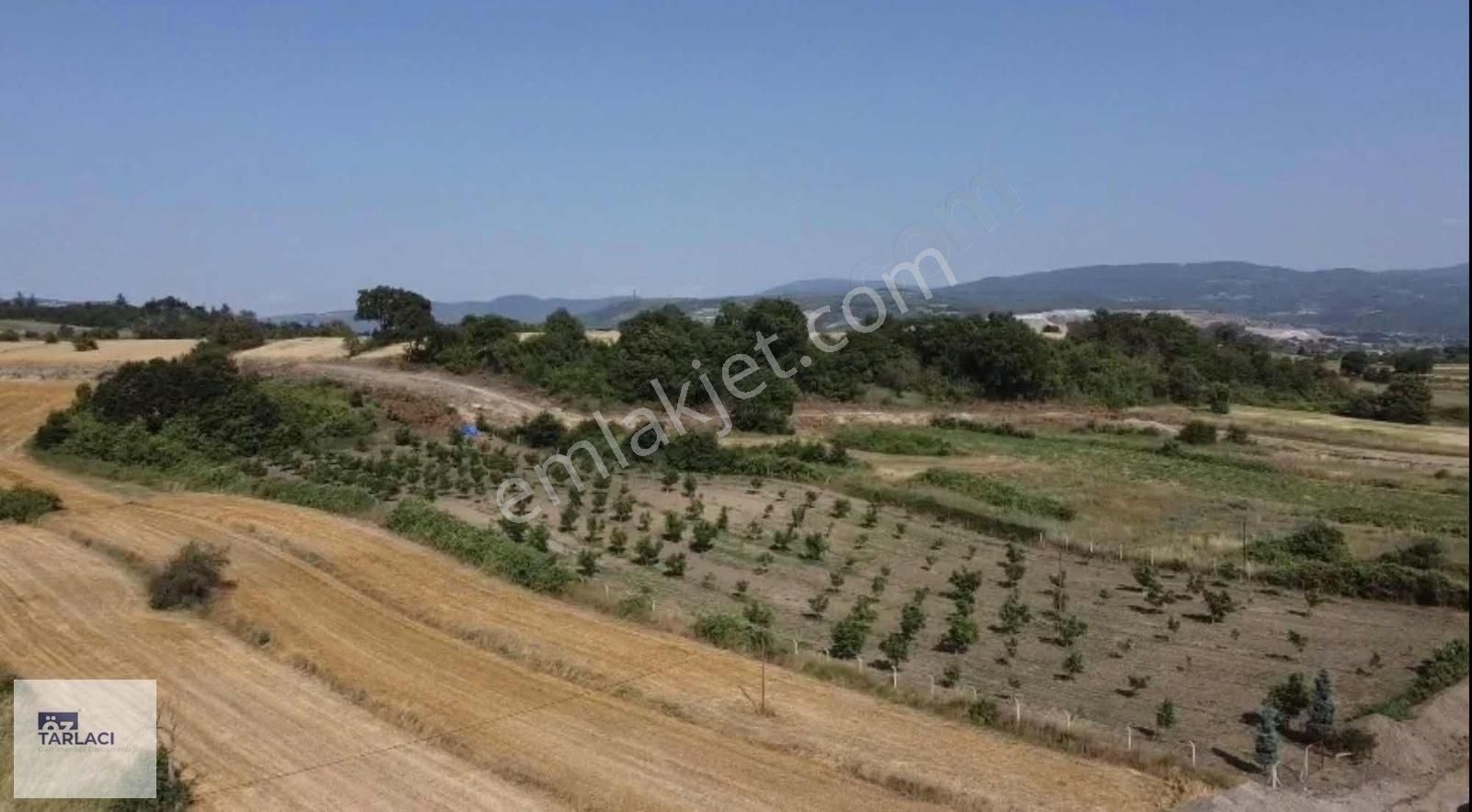 Döllük Mahallesinde Satılık Ceviz Bahçesi 10397 M2 - Görsel 5