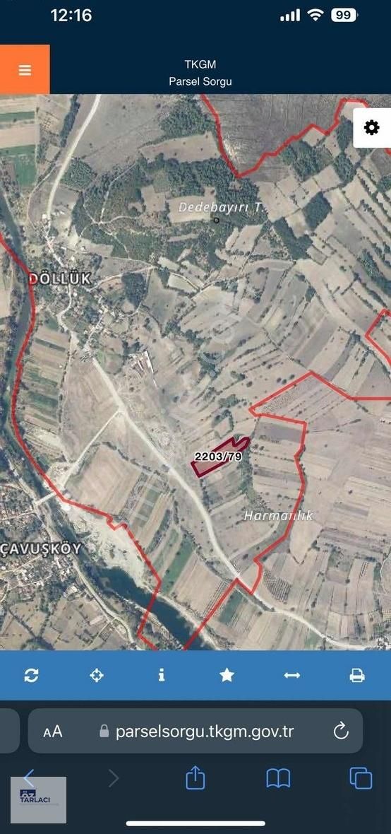 Döllük Mahallesinde Satılık Ceviz Bahçesi 10397 M2 - Görsel 6