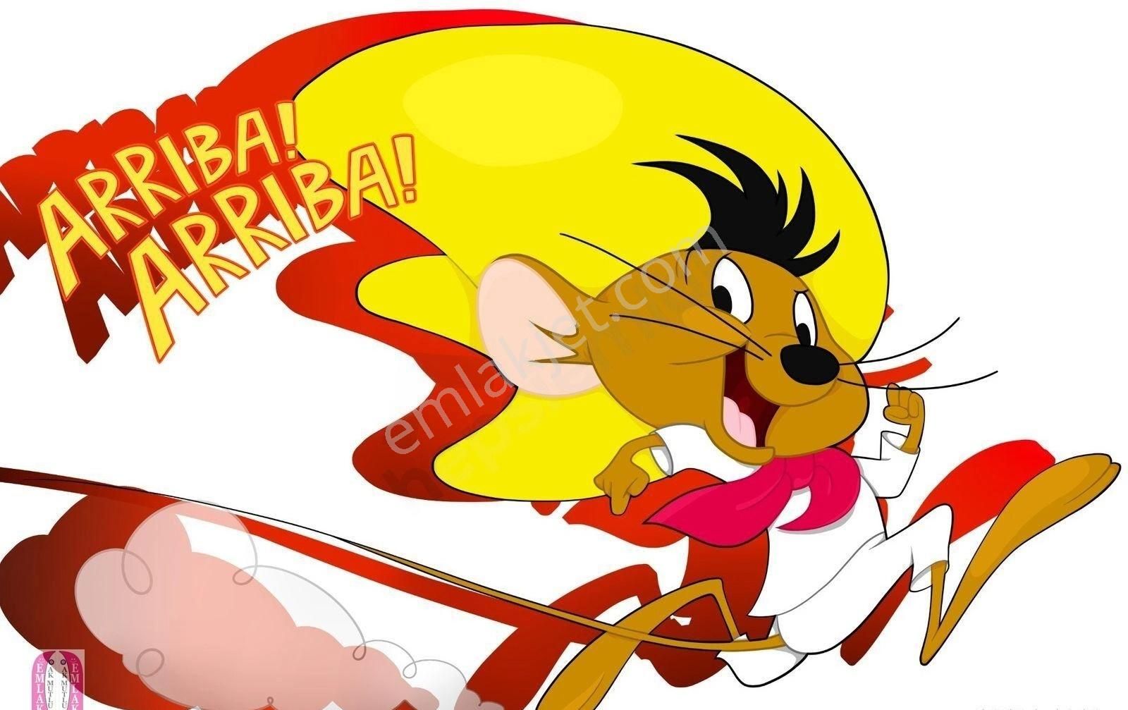 A K Mutludan Geniş Ve Kullanışlı 2+1 Balkonlu Eşyalı Giriş Daire