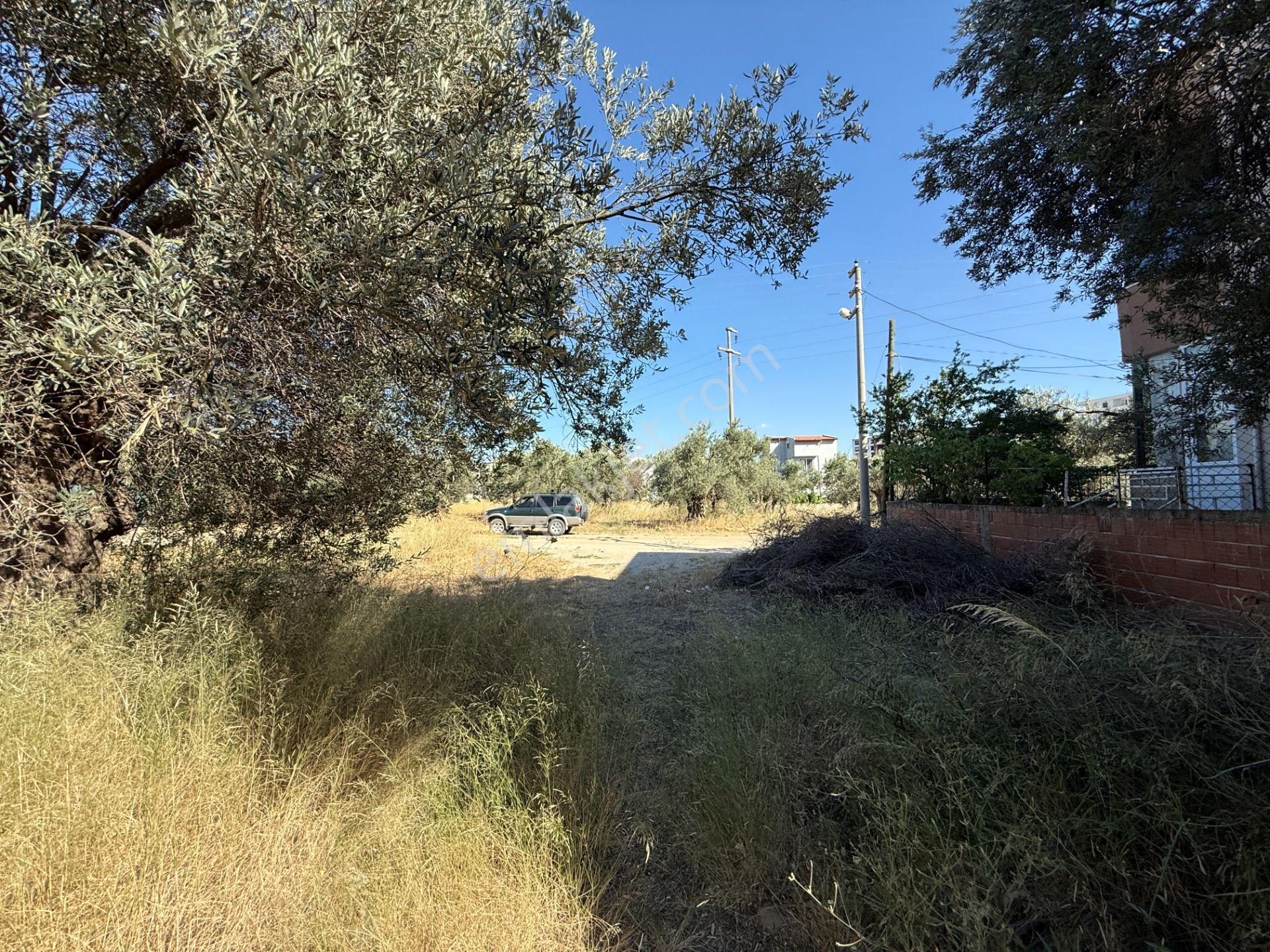 Kadıköy'de Konut İmarlı Satılık 2 Adet Arsa - Görsel 20