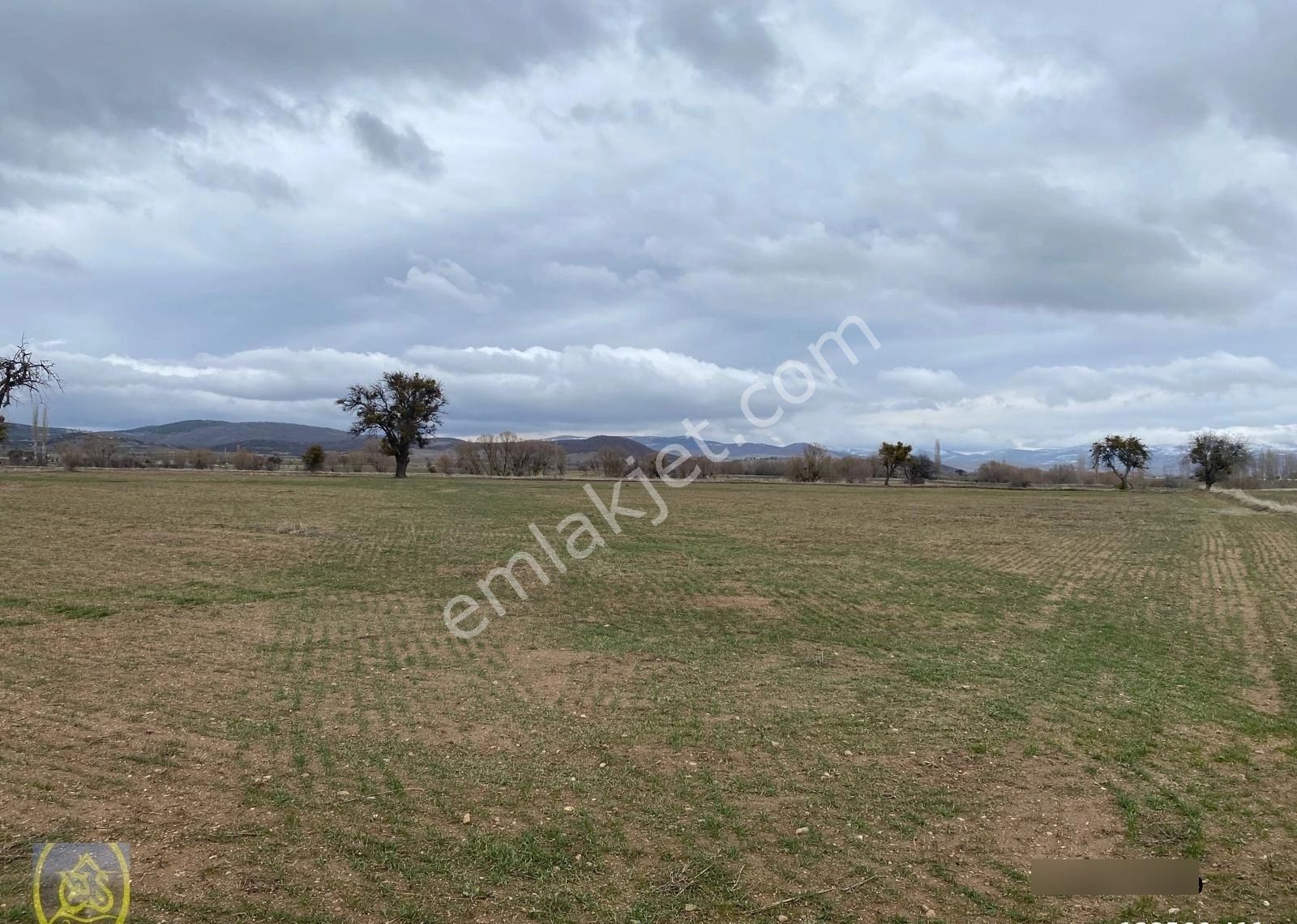 Eysu Karaca'dan Akharım Kasabasında 8.000 Metre Satılık Tarla..