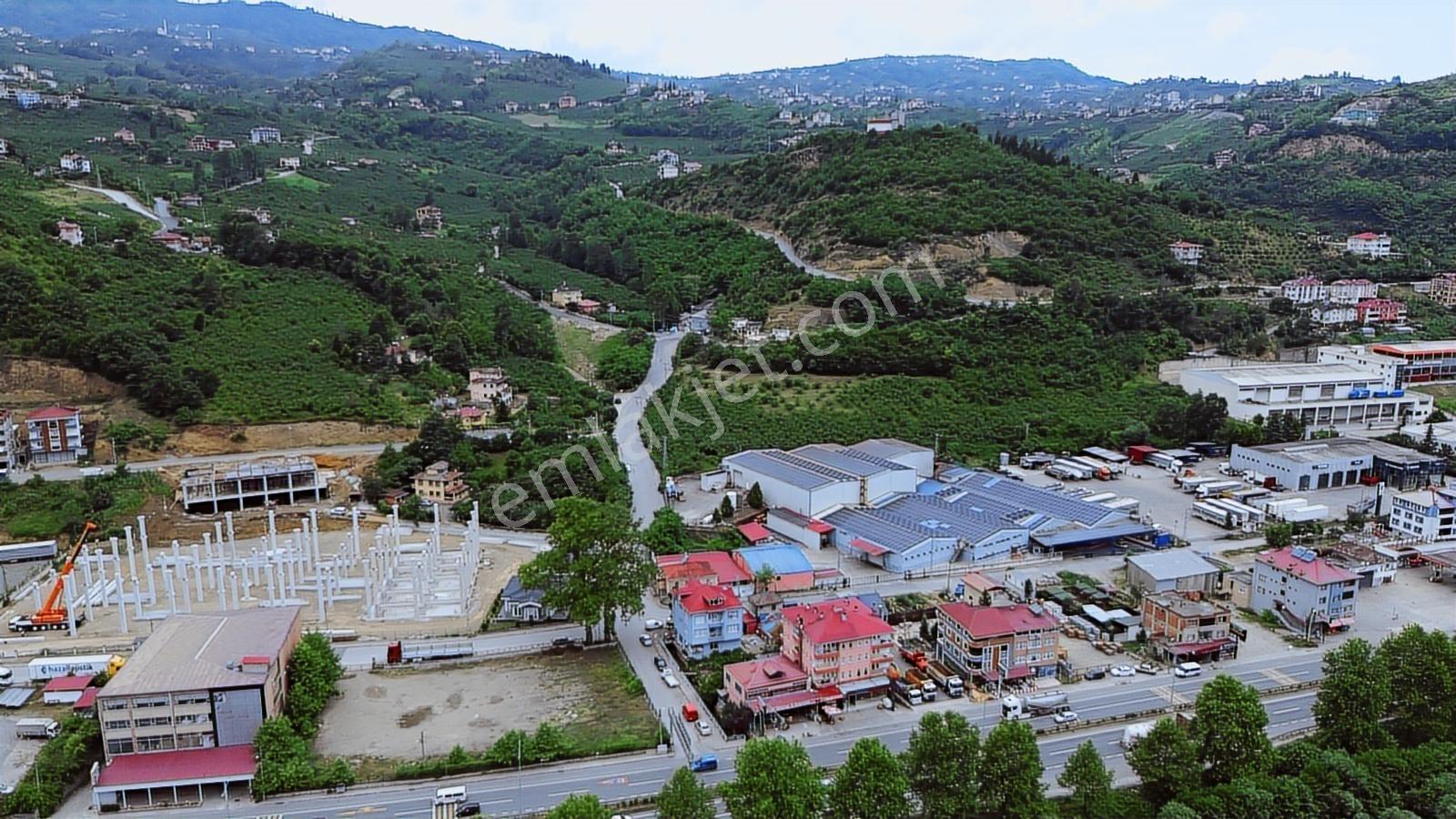 Altın Emlak Trabzonda Satılık Ticari İmarlı Arsa - Görsel 19