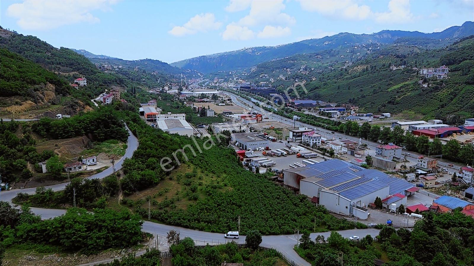 Altın Emlak Trabzonda Satılık Ticari İmarlı Arsa - Görsel 17