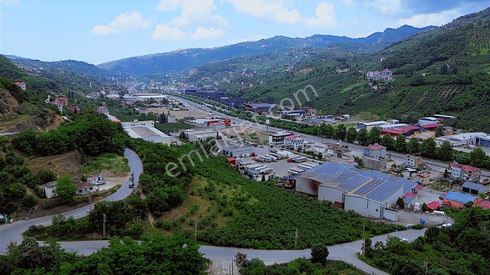 Altın Emlak Trabzonda Satılık Ticari İmarlı Arsa - Görsel 4