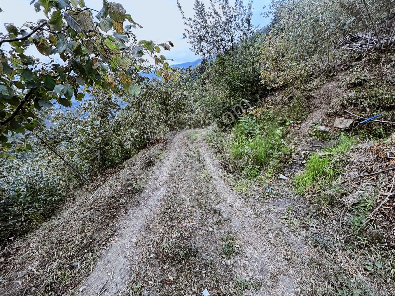 Altın Emlak Trabzon Esiroğlunda Satılık 1500 Metre Kare Arazi - Görsel 8