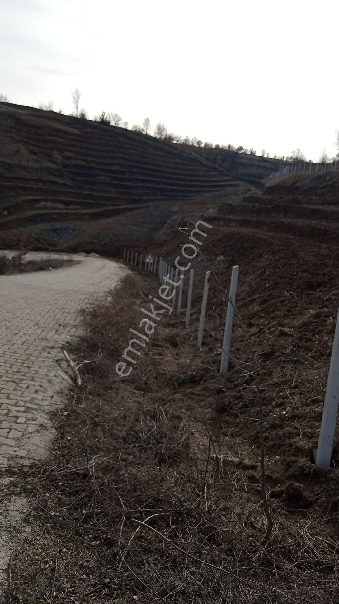 11 Dönüm Mükemmel Konumda Fırsat Arazi - Görsel 14