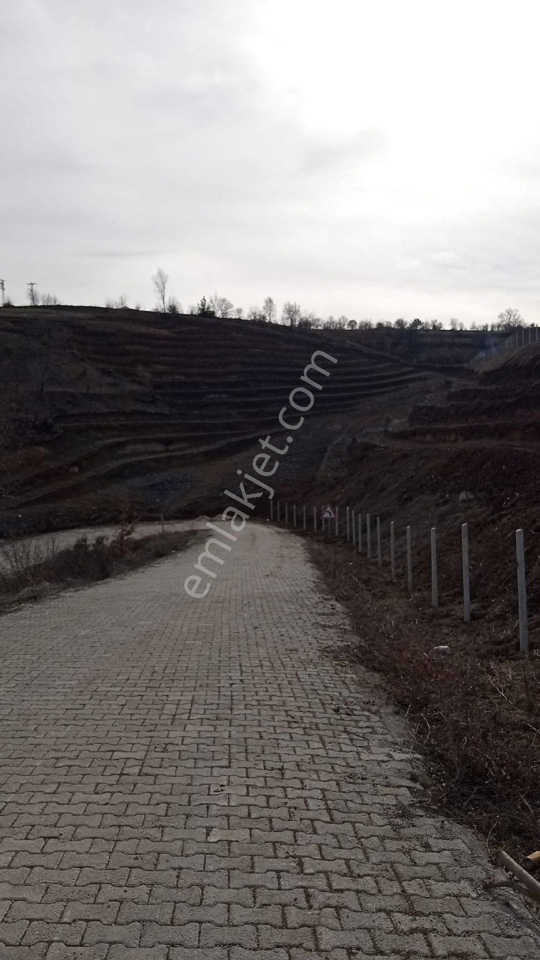 11 Dönüm Mükemmel Konumda Fırsat Arazi - Görsel 15