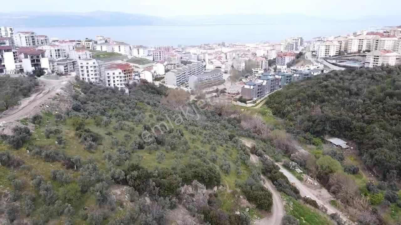 Mudanya Halitpaşa Konut İmarlı Satılık Arsa - Görsel 5