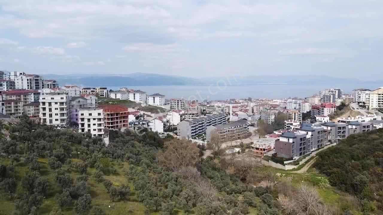 Mudanya Halitpaşa Konut İmarlı Satılık Arsa - Görsel 9