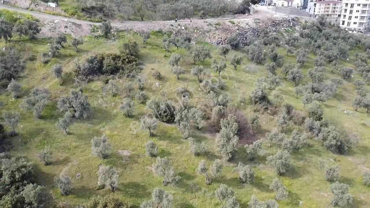 Mudanya Halitpaşa Konut İmarlı Satılık Arsa - Görsel 7