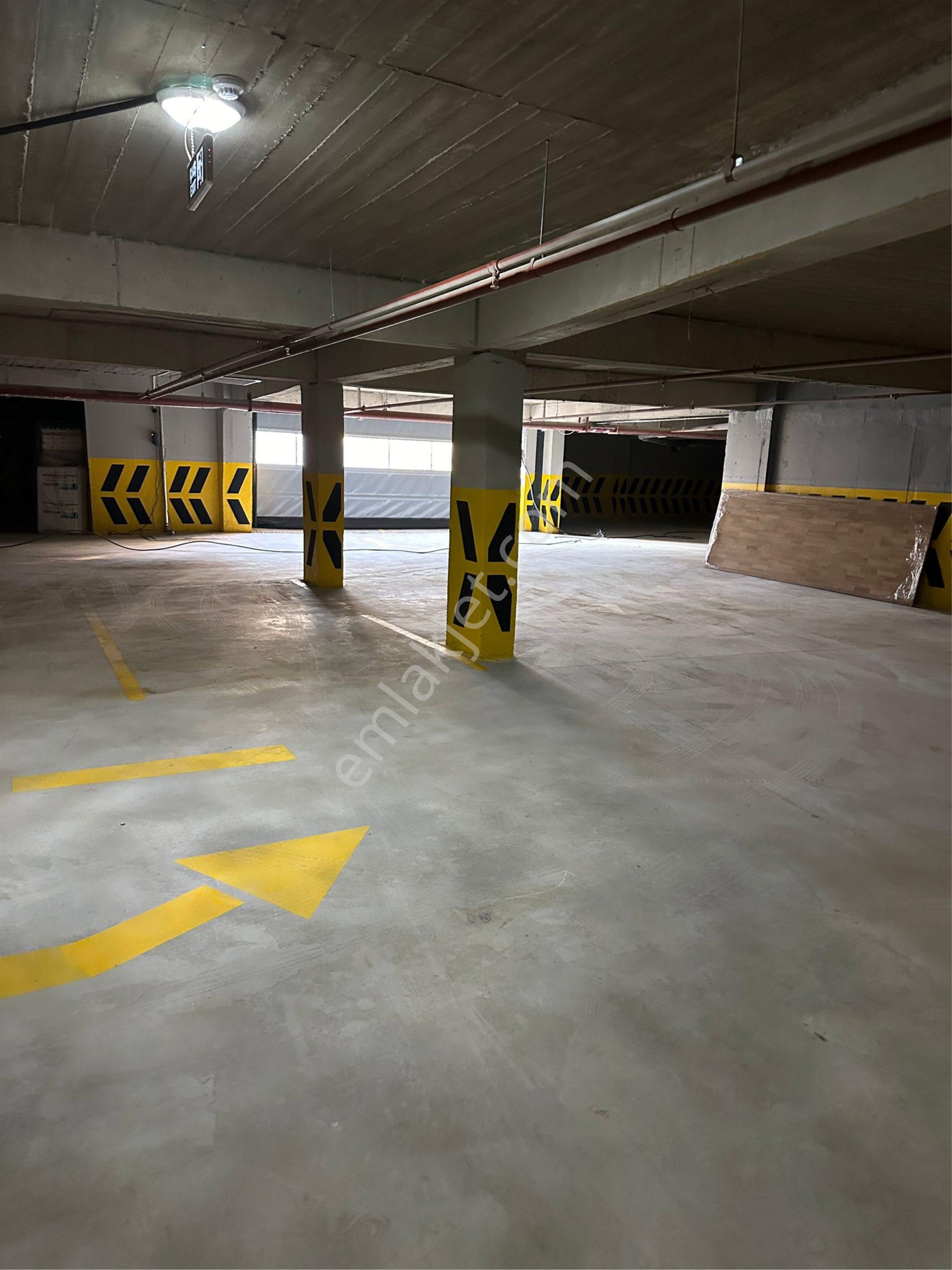 Meram Uluğbey - Görsel 20