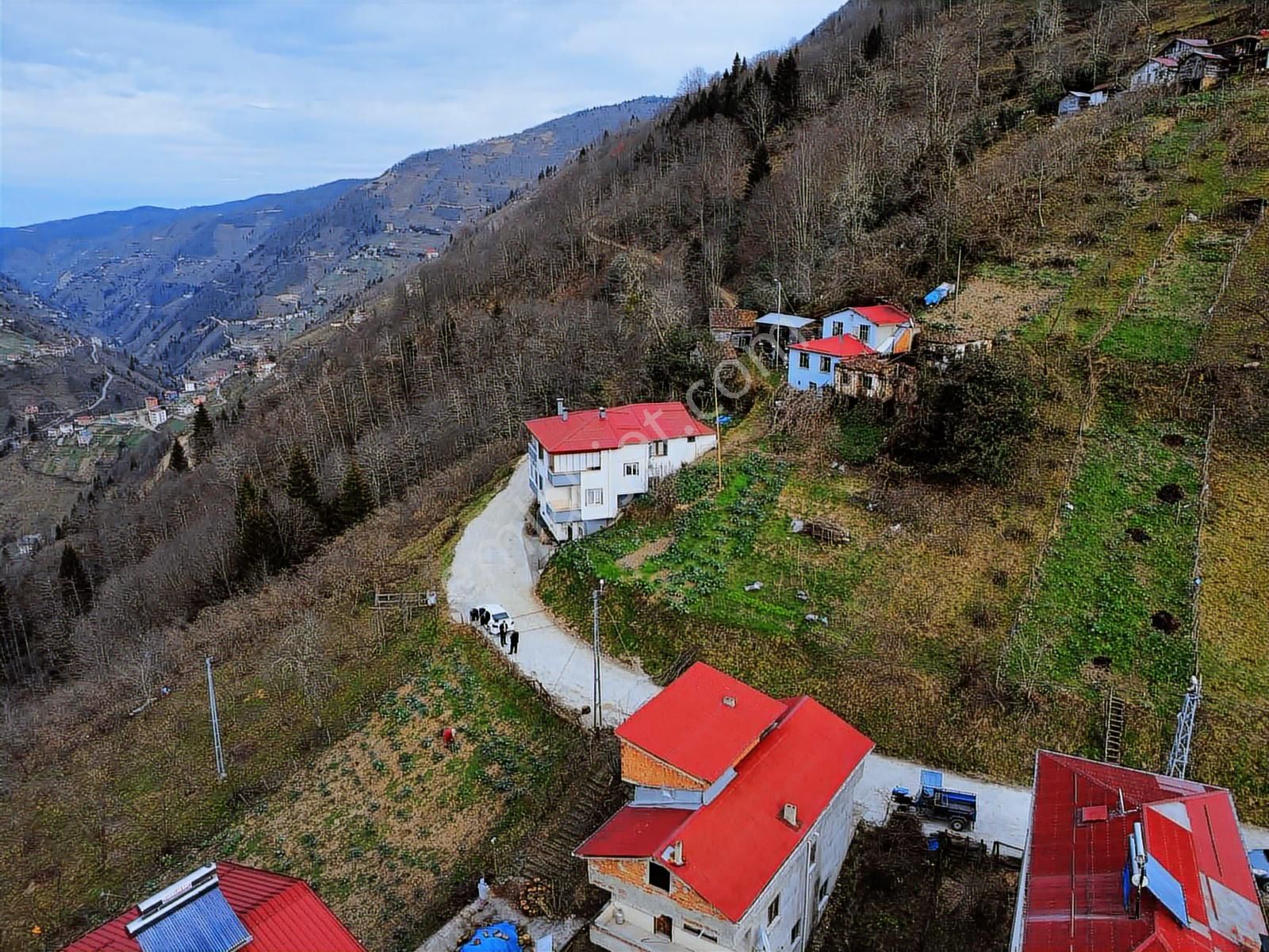 Trabzon Yomrada Fırsat Arazi - Görsel 3