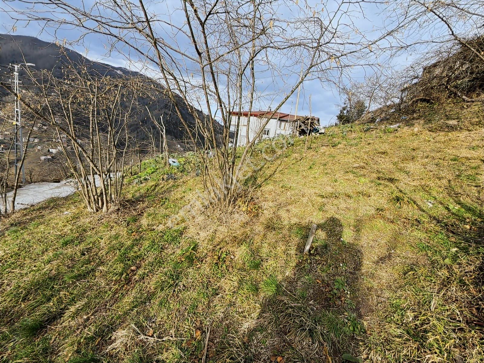 Trabzon Yomrada Fırsat Arazi - Görsel 18
