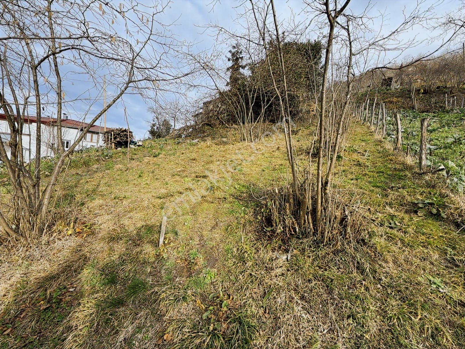 Trabzon Yomrada Fırsat Arazi - Görsel 17
