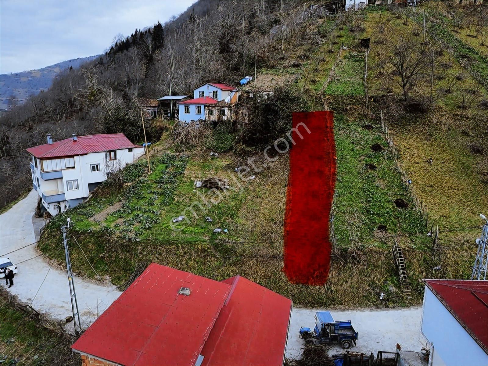 Trabzon Yomrada Fırsat Arazi - Görsel 23
