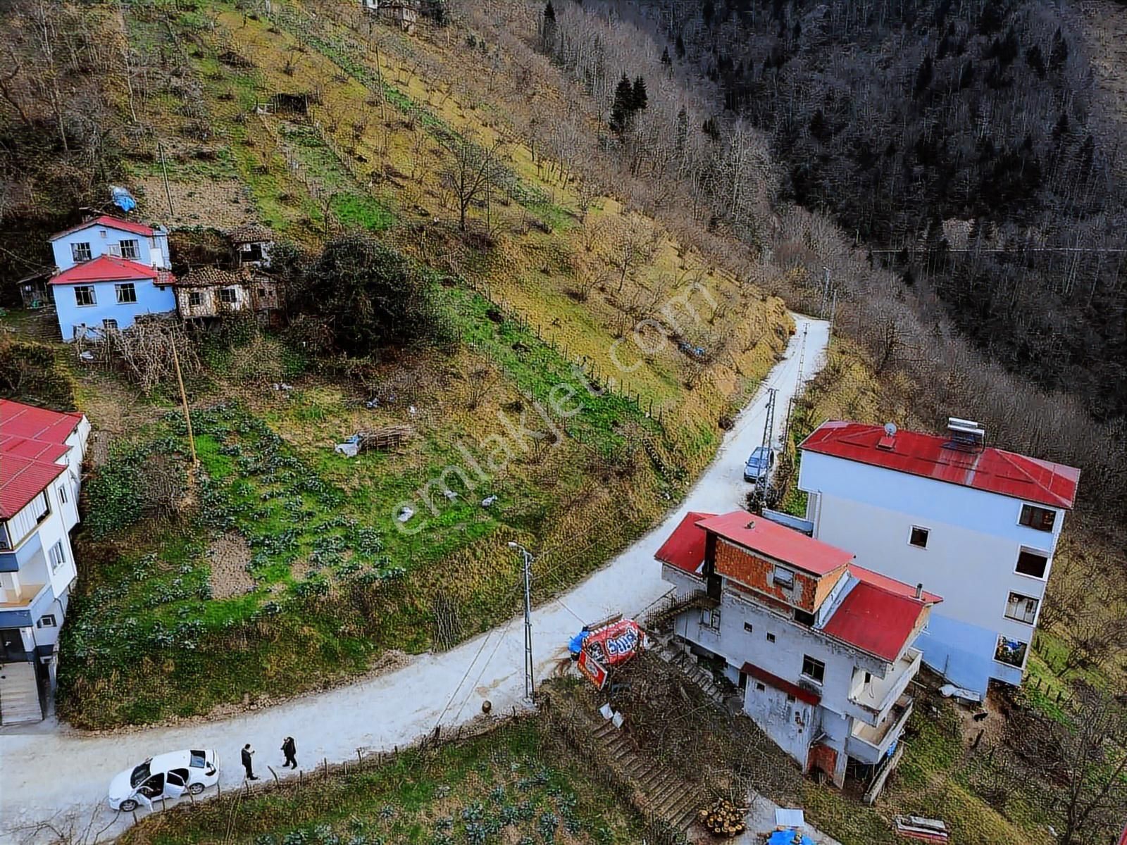 Trabzon Yomrada Fırsat Arazi - Görsel 4