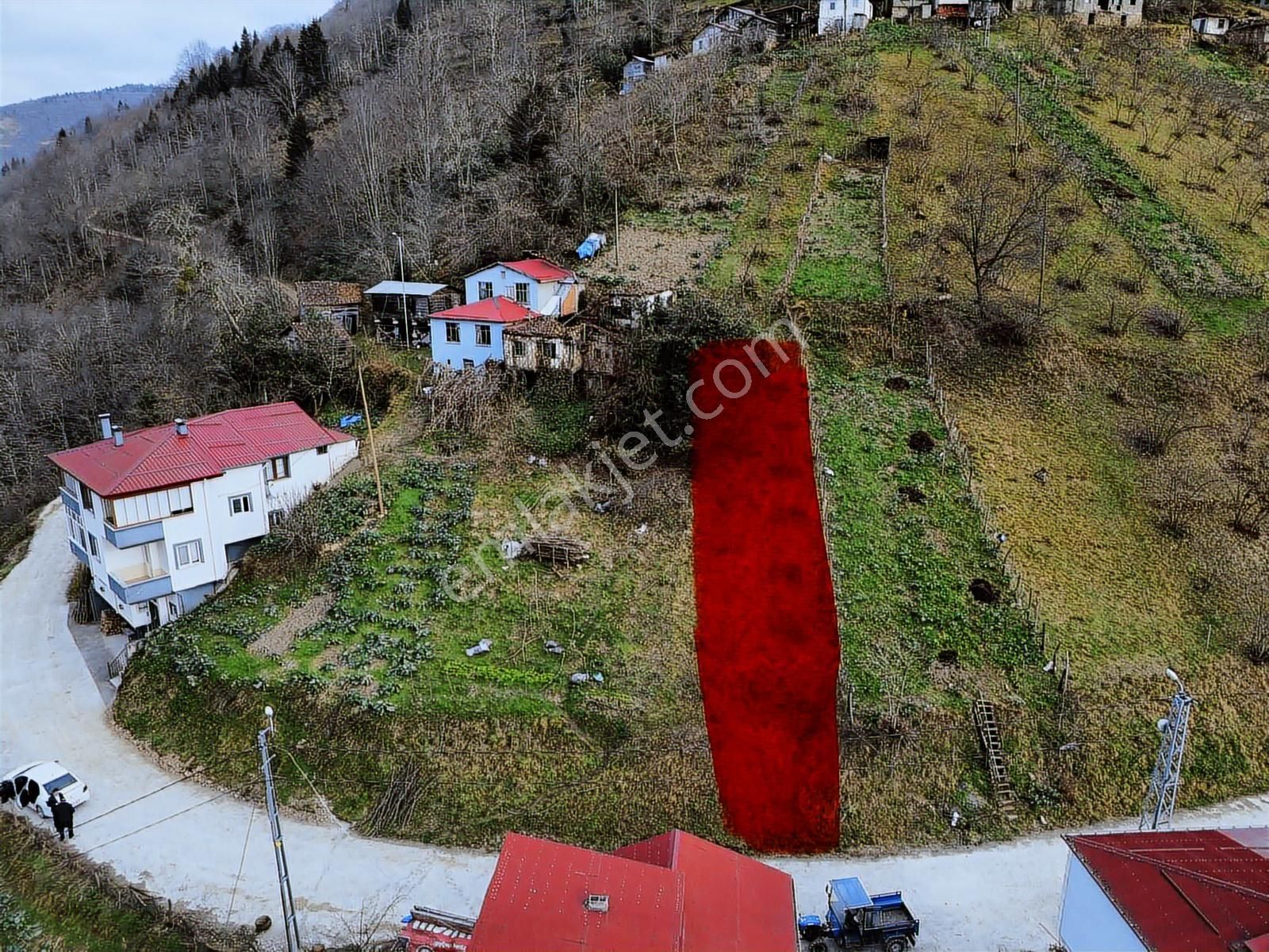 Trabzon Yomrada Fırsat Arazi - Görsel 14
