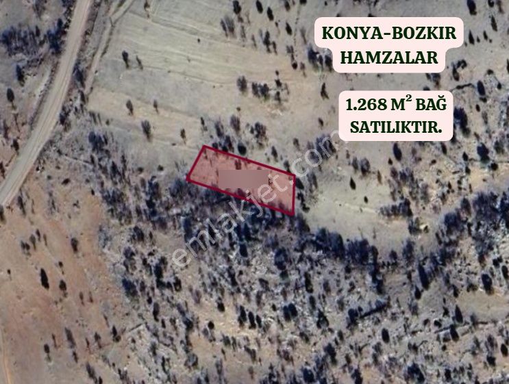 Konya Bozkır Hamzalar Köyünde 1.268 M² Bağ Satılıktır - Görsel 2
