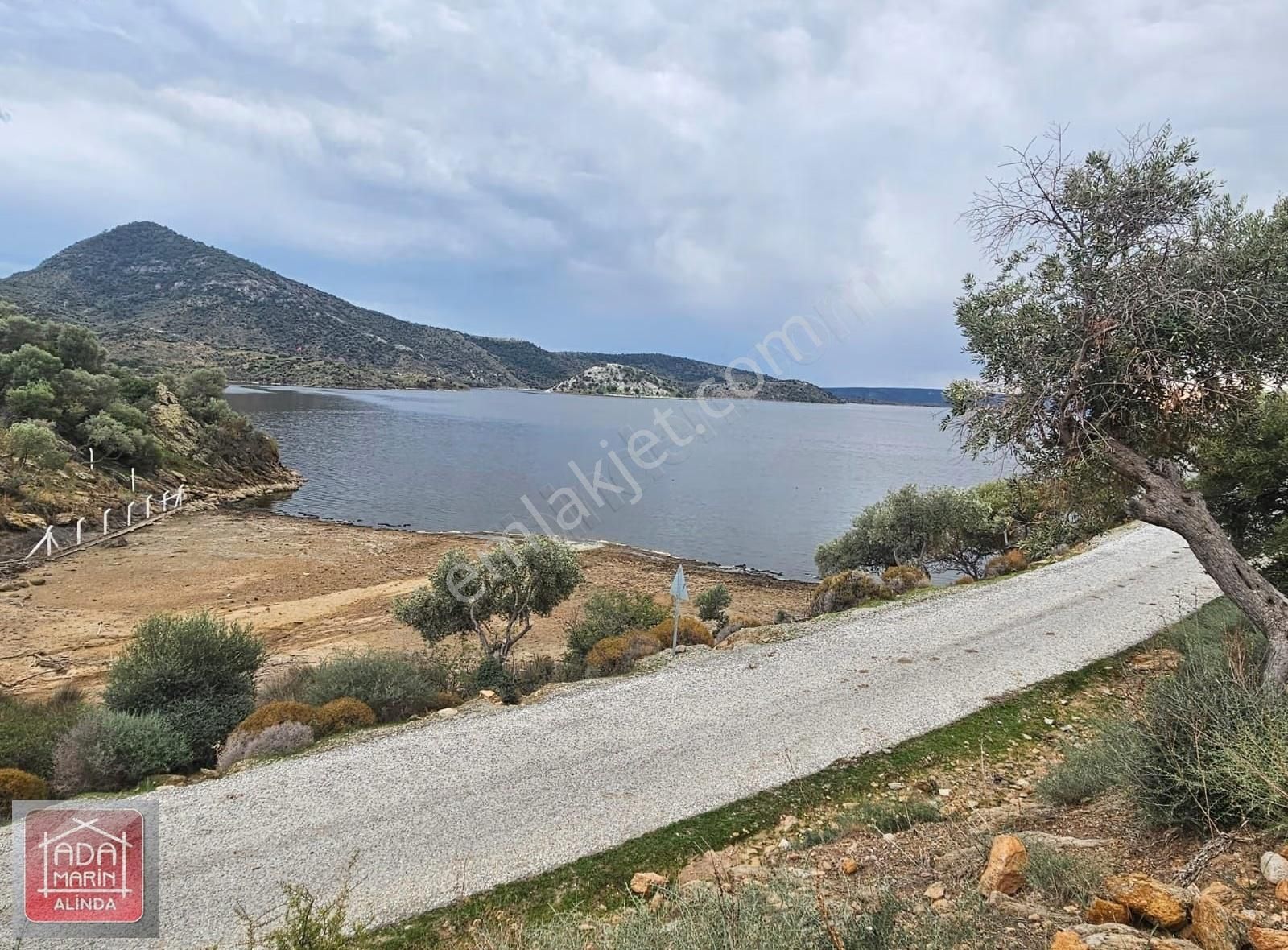 Söke Serçin Köyü Bafa Gölüne Sıfır Satılık Zeytinlik