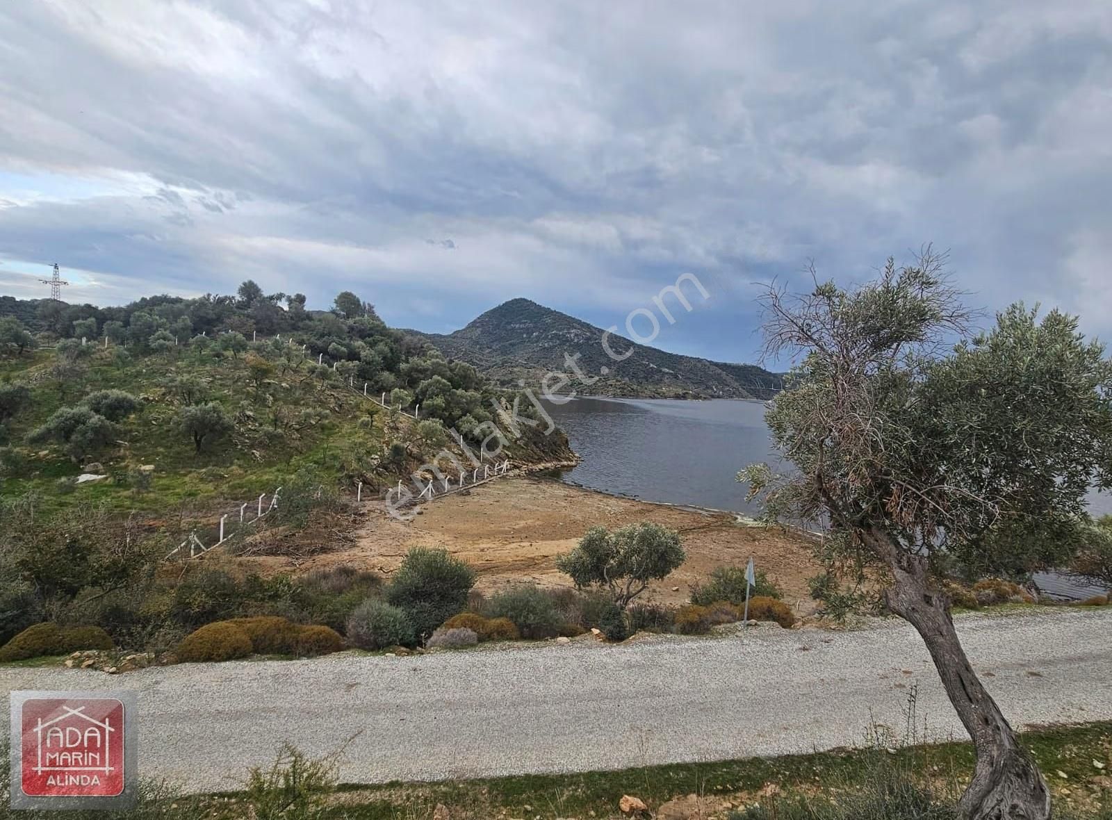 Söke Serçin Köyü Bafa Gölüne Sıfır Satılık Zeytinlik - Görsel 8