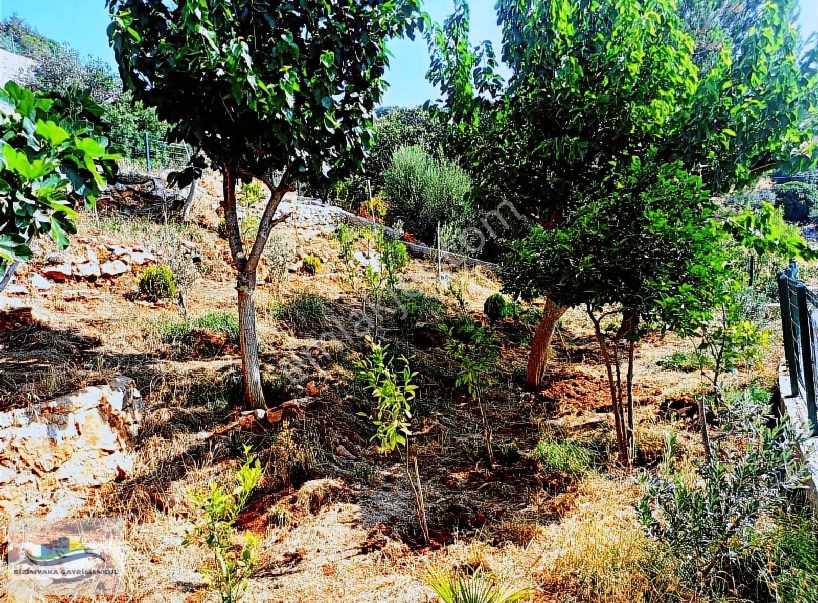 *bizimyaka*dan Didim Aybükde Müstakil Villa - Görsel 13