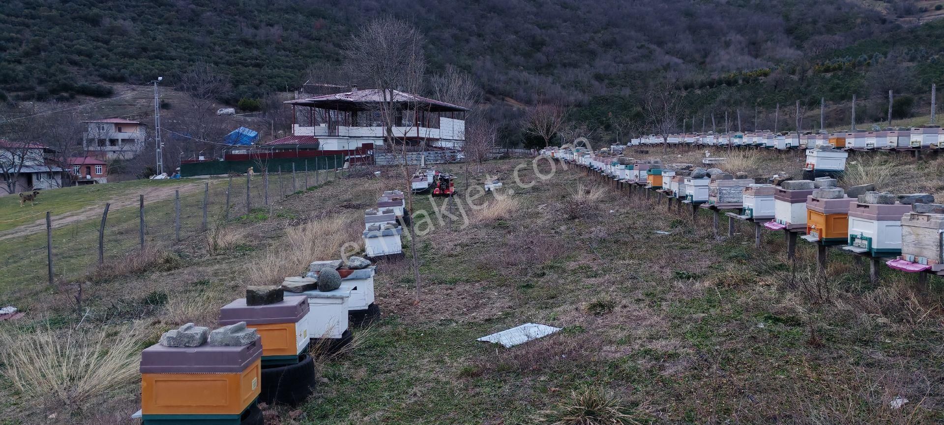 Samsun İlkadım Asaavdan Mert Irmağı Üstü Satilik Evli Mey - Görsel 9