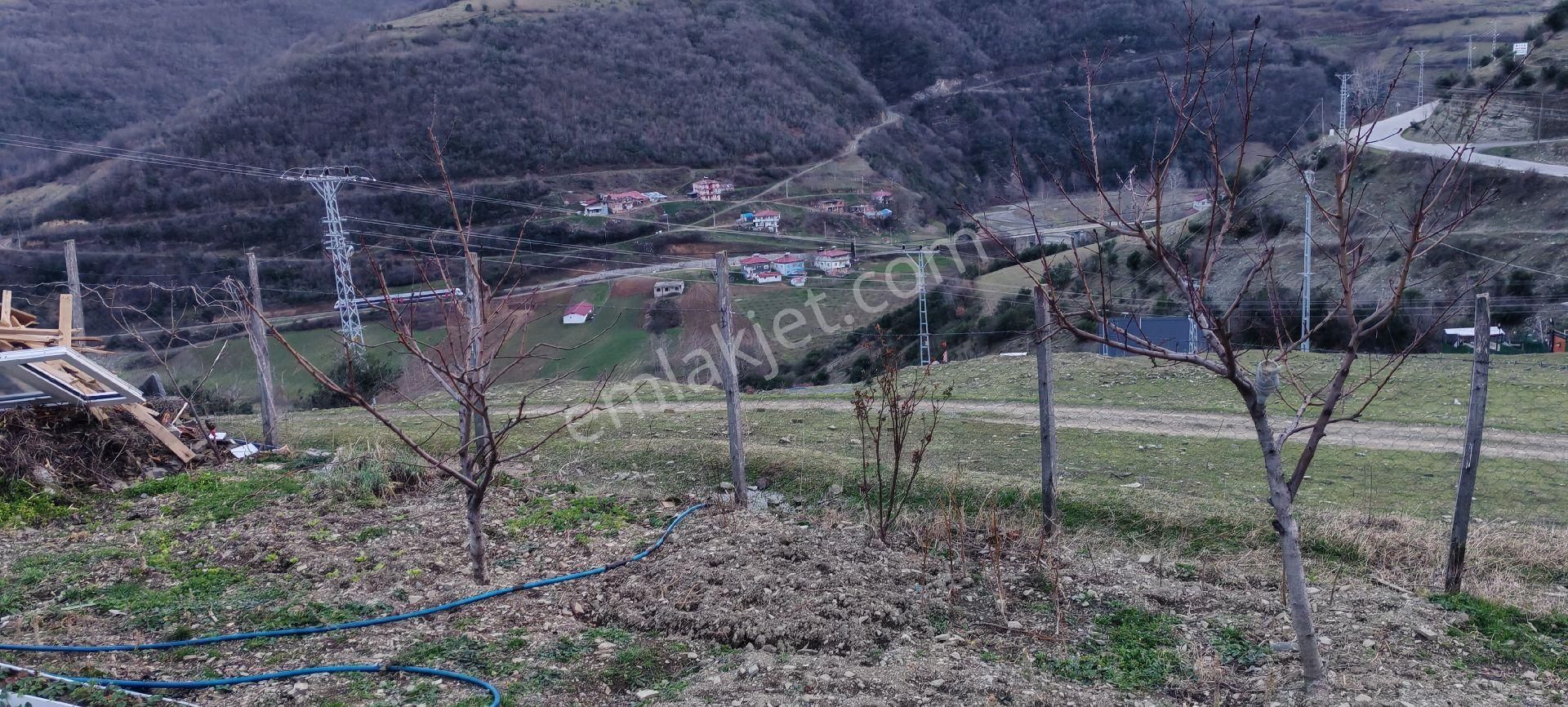 Samsun İlkadım Asaavdan Mert Irmağı Üstü Satilik Evli Mey - Görsel 6