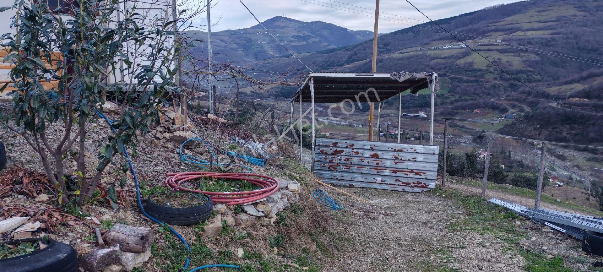 Samsun İlkadım Asaavdan Mert Irmağı Üstü Satilik Evli Mey - Görsel 2
