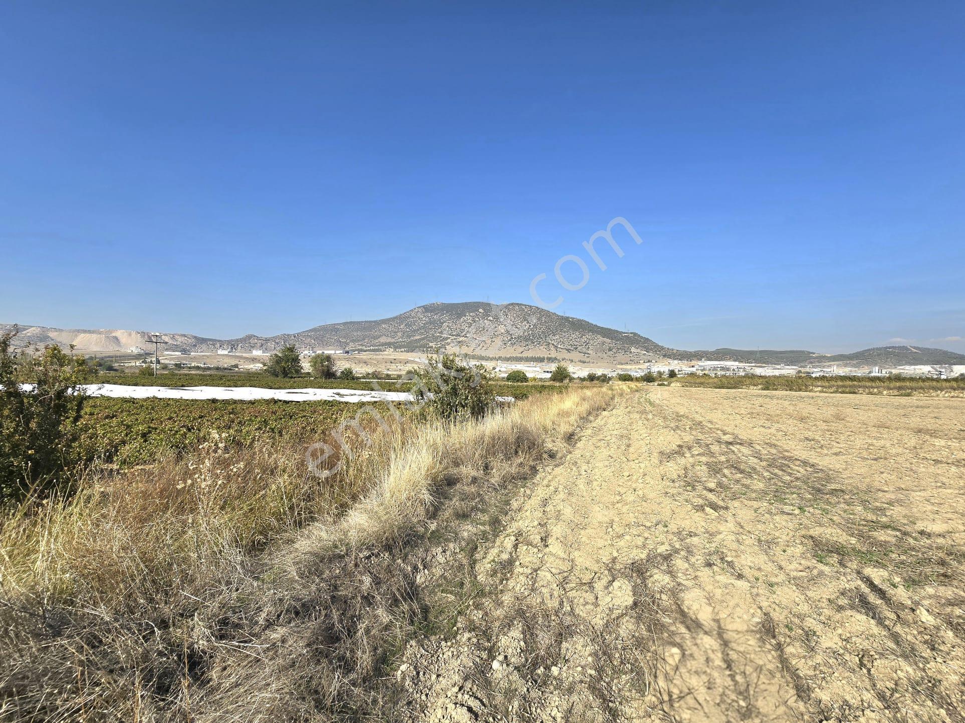 Yol, Su Ve Elektrik Var, Kaklık Mağarası Yakını 11.538 M² Tarla - Görsel 3