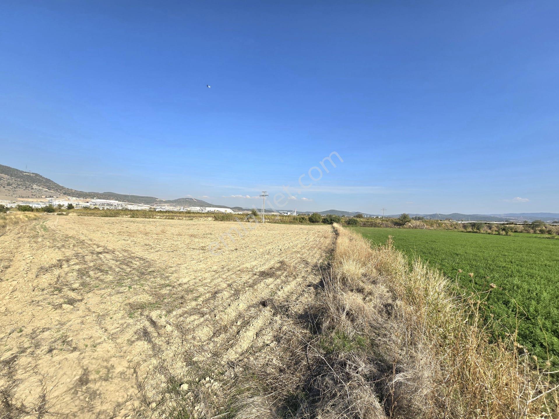 Yol, Su Ve Elektrik Var, Kaklık Mağarası Yakını 11.538 M² Tarla - Görsel 5