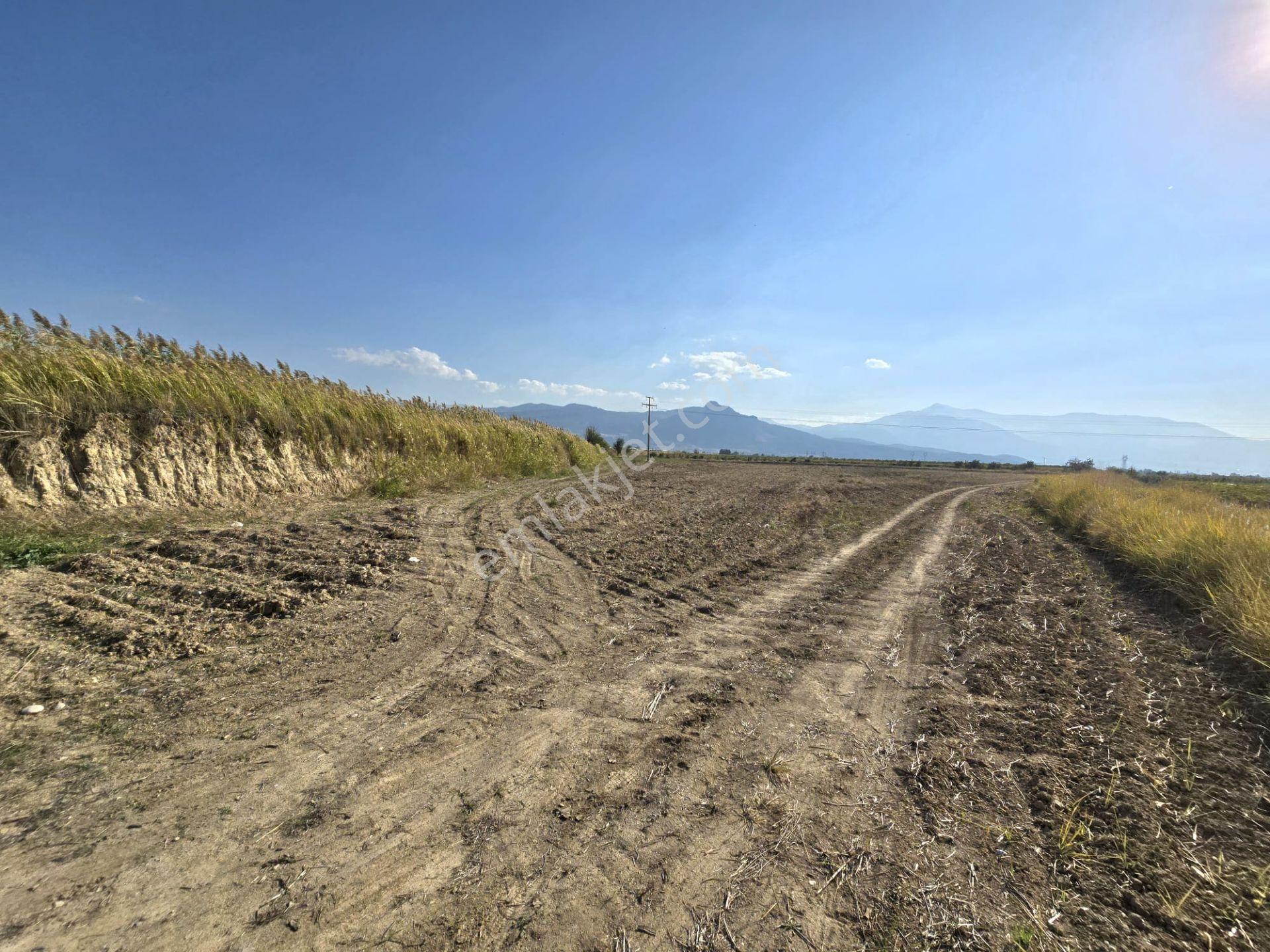 Yol, Su Ve Elektrik Var, Kaklık Mağarası Yakını 11.538 M² Tarla - Görsel 13