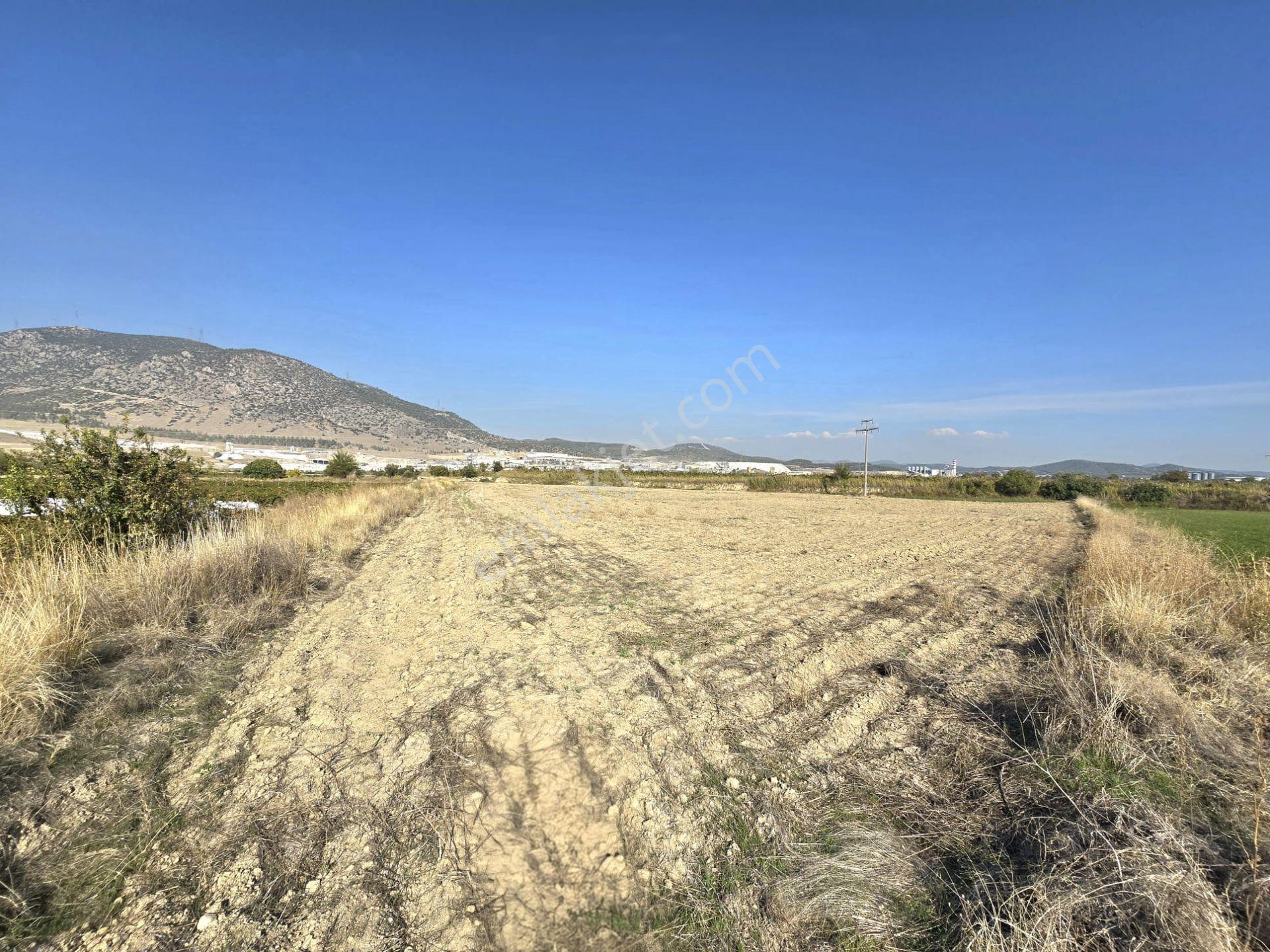 Yol, Su Ve Elektrik Var, Kaklık Mağarası Yakını 11.538 M² Tarla - Görsel 4